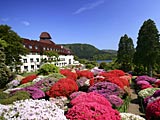 小田急 山のホテル