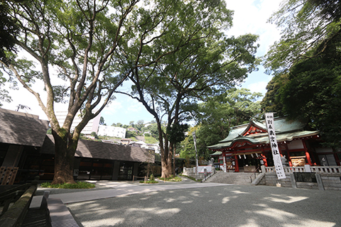 【神前式】箱根神社や来宮神社といった由緒ある神社での結婚式をプロデュース
