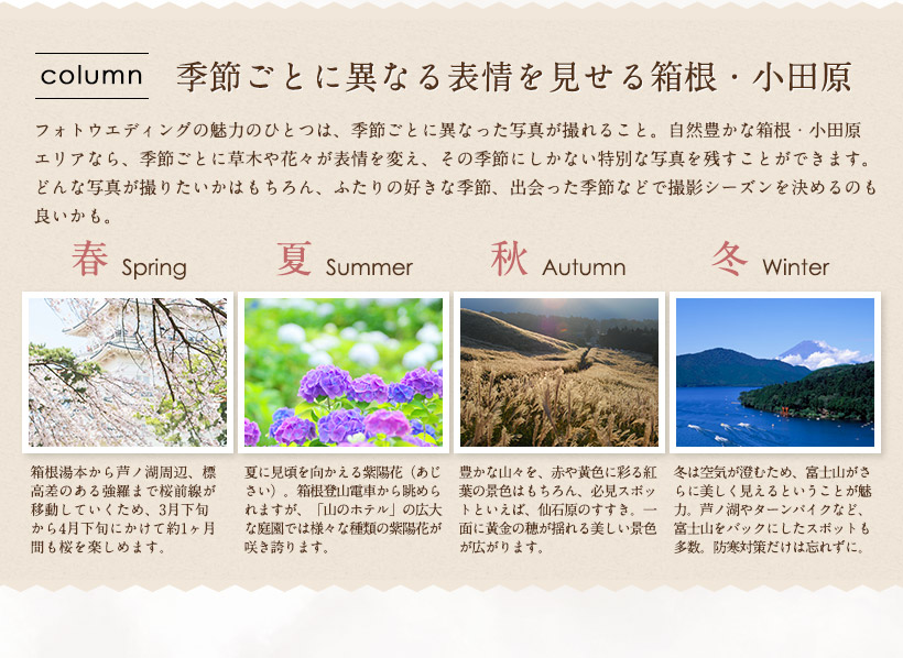 箱根・小田原エリアの四季の魅力