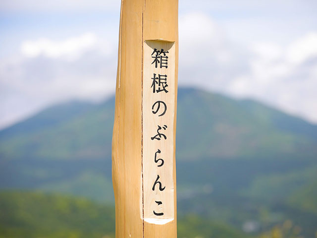 箱根のぶらんこ