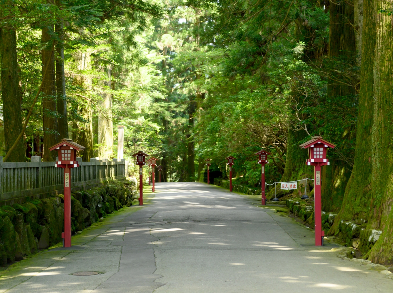 箱根神社 参道