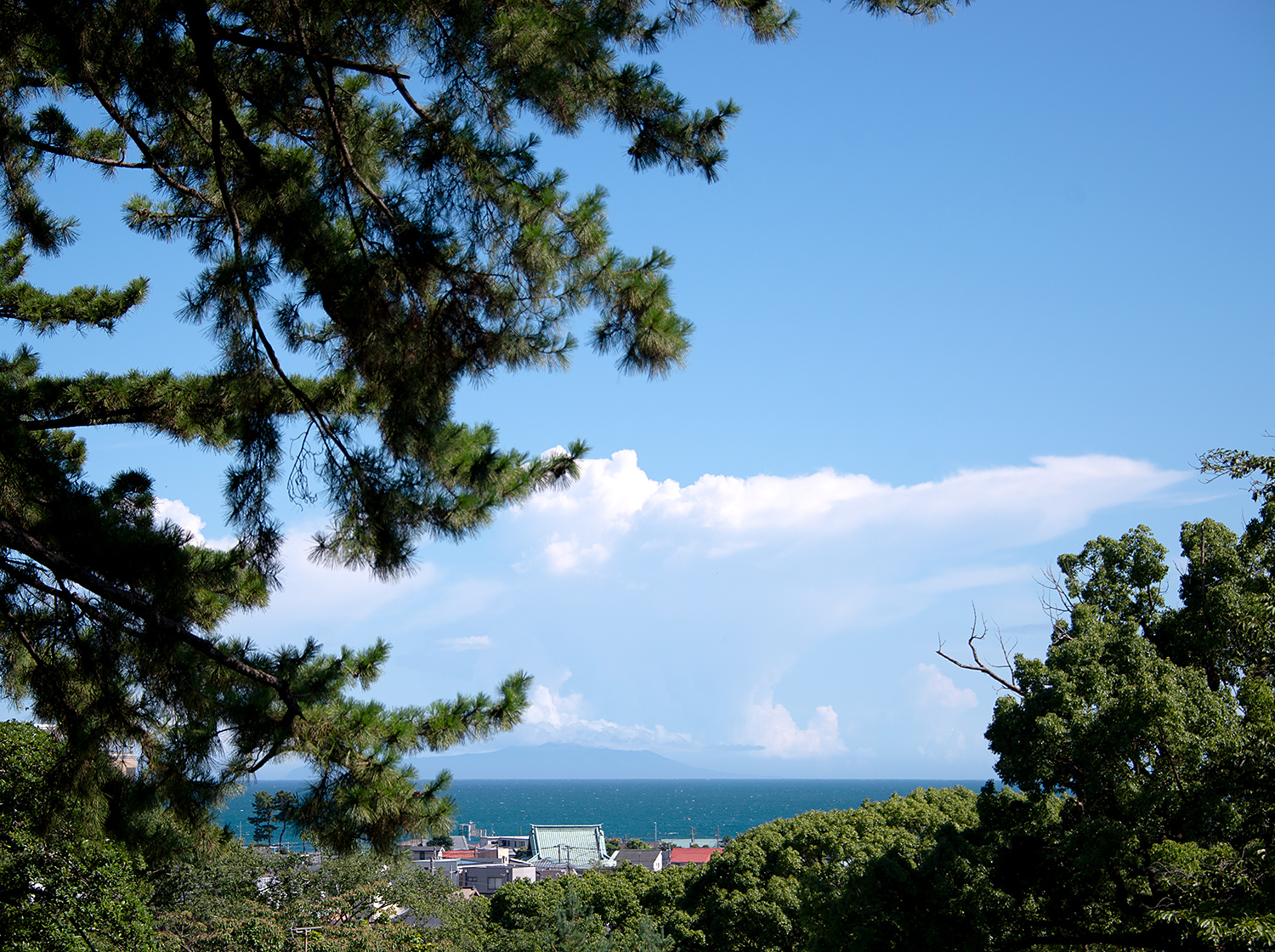 小田原城の風景