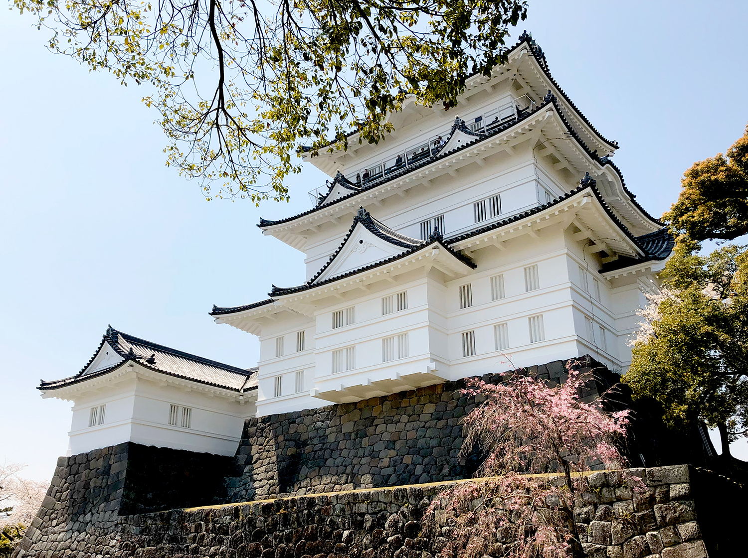 小田原城址公園 小田原城天守閣